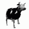 Onlybaimchik