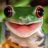 Greenhuggs