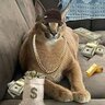 thekiwichannel