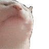 YammiUwU