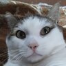 onlybaroshka