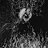 Onetaper_1337