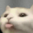 ZHT