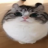 lowpink1337