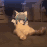 NachoNeko