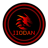 iiodan