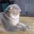 danya23121212