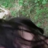 ADVOKAT123