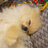 Dany1231233auuasd998as9d8