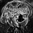 SN1FFL3X