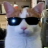 Pherklinz