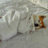 FoxSay