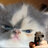 Kaleigh_Towne57
