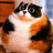 cat1x