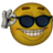 Lilziwer