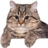 SaveMEGO