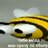 sdfsfsf244