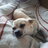 Denis_0066769