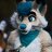 fox_in_box